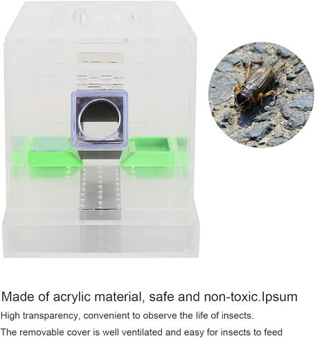 Feeding Box, Transparent Acrylic Reptile Feeding Cricket Keeper Pen with Tubes Cockroach Care Kit Reptile Viewing Box(L) in Saudi Arabia