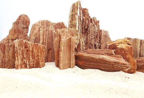 Lifegard Aquatics 10G-Redwood Redwood Petrified Stone 10G Rock Kit، بني in Saudi Arabia