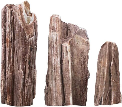 Lifegard Aquatics 10G-Redwood Redwood Petrified Stone 10G Rock Kit، بني in Saudi Arabia