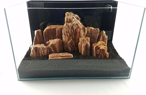 Lifegard Aquatics 10G-Redwood Redwood Petrified Stone 10G Rock Kit، بني in Saudi Arabia