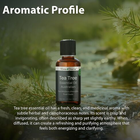 Viva Doria 100% Pure Pine Essential Oil, Undiluted, Food Grade, Hungarian Pine Oil 30 mL (1 Fluid Ounce) in Saudi Arabia