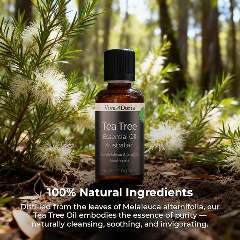 Viva Doria 100% Pure Pine Essential Oil, Undiluted, Food Grade, Hungarian Pine Oil 30 mL (1 Fluid Ounce) in Saudi Arabia