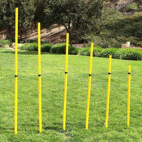 Bluedot Trading Soccer Agility Training Poles, Fixed or Adjustable (4,6,8pc-set) in Saudi Arabia