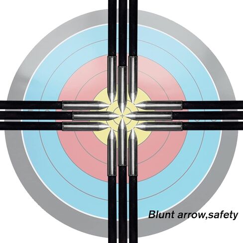 Lanneret Archery Practice Target Arrows for Kids Youth or Beginners, 26/28inch Fiberglass Arrows for Compound & Recurve Bow(Pack of 12) in Saudi Arabia