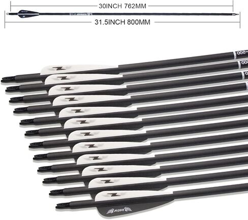 31inch Carbon Arrow Archery Targeting Practice Hunting Arrows for Compound & Recurve Bow with Removable Tips(Pack of 12) in Saudi Arabia