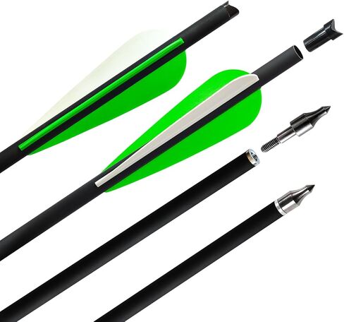 REEGOX Crossbow Bolts 16/18/20 inch Bio Crossbow Arrows with Moon Nocks and Removable Tips (Pack of 12) in Saudi Arabia