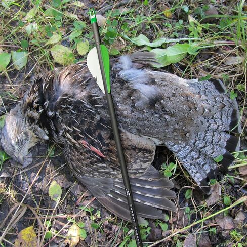 29 بوصة سهم كربون ممارسة الصيد السهام العمود الفقري 400 مع نصائح قابلة للإزالة لمركب الرماية والقوس المنحني والتقليدي (12 قطعة) in Kuwait