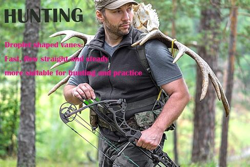 29 بوصة سهم كربون ممارسة الصيد السهام العمود الفقري 400 مع نصائح قابلة للإزالة لمركب الرماية والقوس المنحني والتقليدي (12 قطعة) in Kuwait