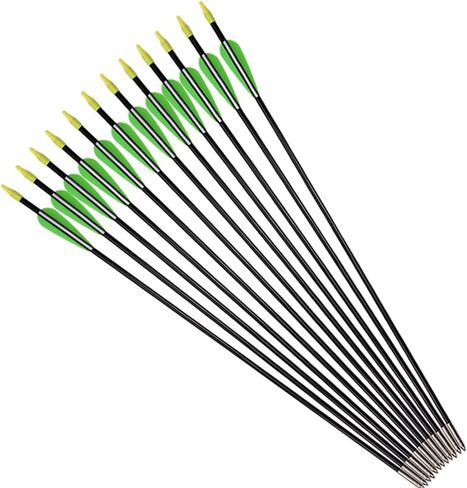 Fiberglass Practice Arrows Archery 24/26/28/30 Inch Target Shooting Safety Recurve Bows Suitable for Youth Children Woman Beginner 6/12 PCS in Saudi Arabia
