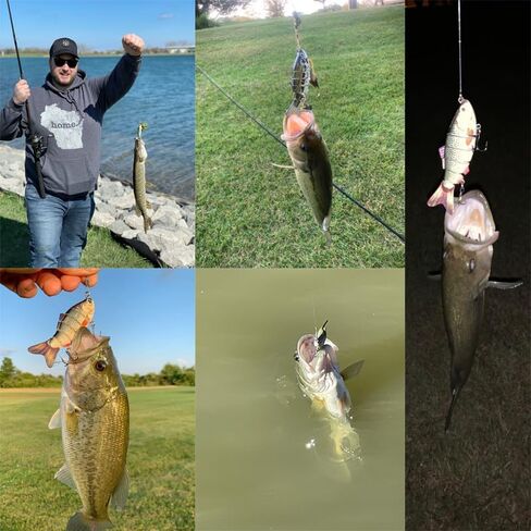 Multi-Segmented Fishing Lures, Glide Swim Bait Lure Freshwater and Saltwater for Bass Fishing Stuff, Swimbait Crank Baits in Saudi Arabia