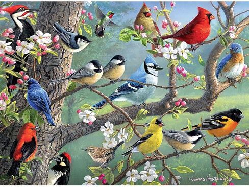 Buffalo Games - Hautman Brothers - Birds in an Orchard - 1000 Piece Jigsaw Puzzle in Saudi Arabia