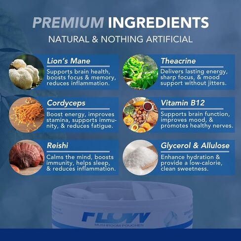 Flow Pouch Mushroom Nootropic Pouches - 200mg Organic Mushroom Energy Ultra Pouches with Lion's Mane, Reishi, Cordyceps for Focus & Clean Energy - Zero Caffeine or Sugar (5 Can Pack, Wintergreen) in Saudi Arabia