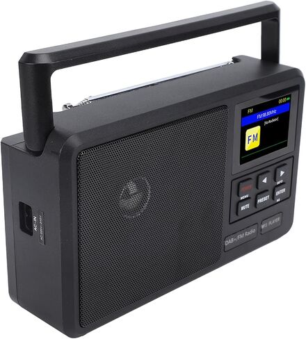 Portable DAB FM Radio, Battery Operated or AC Power, Big Speaker, Radio with Bluetooth, LCD Screen Display, for Gift, Elder, Home (US Plug 100-240V) in Saudi Arabia