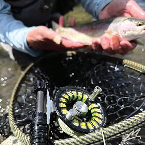 MAVRK USA Fly Fishing Line | Euro Nymph & Floating Lines | Level ESN Mono & Weight Forward Designs | High Visibility, Low Stretch, Freshwater Trout in Kuwait
