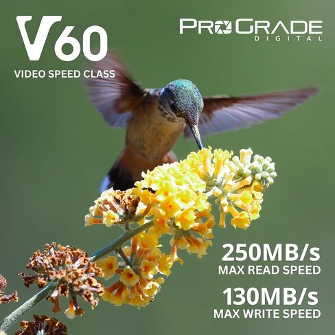 بطاقة Prograde الرقمية SD UHS-II 128 جيجابايت V60 - سرعة كتابة تصل إلى 130 ميجابايت/ثانية وسرعة قراءة 250 ميجابايت/ثانية | لمدوني الفيديو المحترفين وصانعي الأفلام والمصورين وأمناء المحتوى in Kuwait
