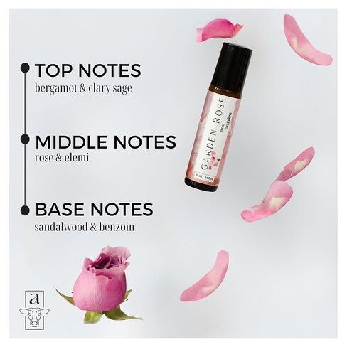 جميع أسطوانة العطور غير السامة الطبيعية - مصنوعة من زيوت أساسية نقية وعضوية - تلميحات من العسل والفانيليا والخزامى واللبان والبرغموت وإكليل الجبل والبابونج (زهر العسل) in Kuwait