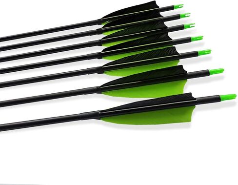 Archery 31-Inch Carbon Hunting Arrows, Turkey Feather Fletching with Replaceable Points, Targeting Practice Arrows Spine 500 for Recurve Bow, Longbow, Traditional Bow in Kuwait