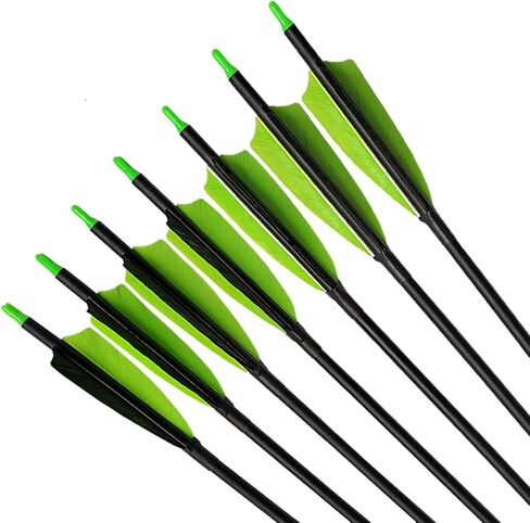 Archery 31-Inch Carbon Hunting Arrows, Turkey Feather Fletching with Replaceable Points, Targeting Practice Arrows Spine 500 for Recurve Bow, Longbow, Traditional Bow in Kuwait