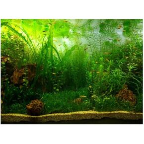 Zerodis PVC Aquarium Background Poster,Water Grass Style PVC Adhesive Static Aquarium Wallpaper Background(61 * 30cm)