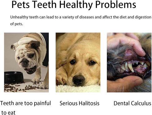 فرشاة أسنان LINGXIYA للكلاب الأليفة، فرش أسنان ناعمة للغاية للكلاب والقطط، فرش تنظيف الأسنان للكلاب الصغيرة والكلاب والقطط، أسنان صحة الأسنان، طقم مكون من قطعتين (أبيض/أخضر) in Kuwait