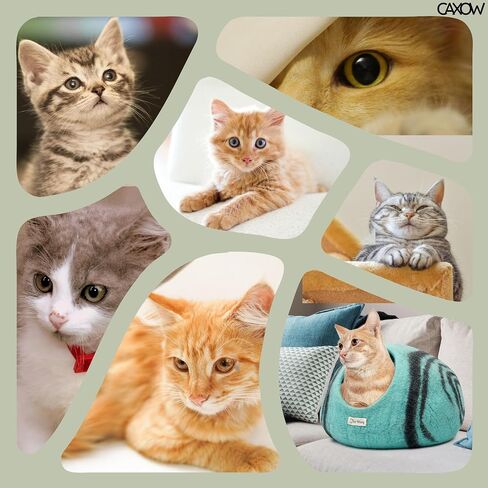CAXOW Felt Wool Cat Cave Bed - Cozy Cat Bed Cave for Indoor Cats and Kittens - Made from 100% Merino Wool in Nepal (Aqua Blue) in Saudi Arabia