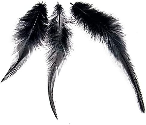 ريش سرج الديك من FEARAFTS لتزيين الحرف اليدوية، صناعة المجوهرات بنفسك، مجموعة إكسسوارات صائد الأحلام، حزمة من 100 (طبيعي) in Kuwait