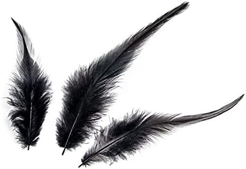 ريش سرج الديك من FEARAFTS لتزيين الحرف اليدوية، صناعة المجوهرات بنفسك، مجموعة إكسسوارات صائد الأحلام، حزمة من 100 (طبيعي) in Kuwait