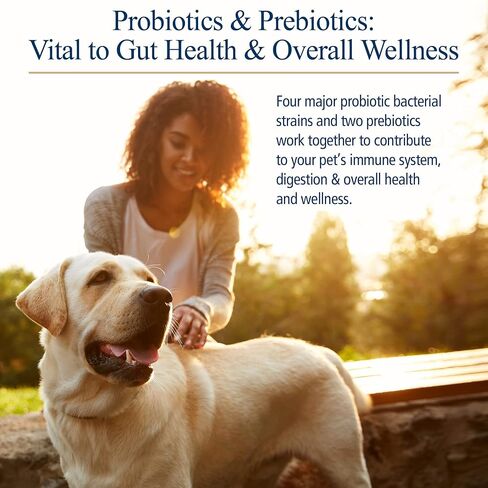 Rx Biotic for Pets 2.12 oz Powder - Professional Veterinary Formulas - Hypoallergenic & Vegetarian in Saudi Arabia