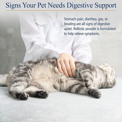 Rx Biotic for Pets 2.12 oz Powder - Professional Veterinary Formulas - Hypoallergenic & Vegetarian in Saudi Arabia