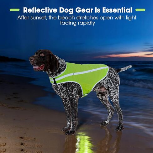 FUAMEY الكلب سترة عاكسة للكلاب الصغيرة، سترة صيد الكلاب عالية الوضوح سترة سلامة الكلاب للمشي ليلا خدمة مقاومة للماء الحيوانات الأليفة والعتاد قابل للتعديل الأنشطة في الهواء الطلق النيون الأخضر S in Kuwait