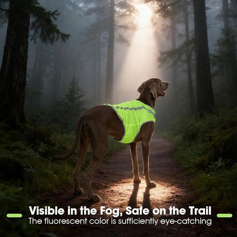 FUAMEY الكلب سترة عاكسة للكلاب الصغيرة، سترة صيد الكلاب عالية الوضوح سترة سلامة الكلاب للمشي ليلا خدمة مقاومة للماء الحيوانات الأليفة والعتاد قابل للتعديل الأنشطة في الهواء الطلق النيون الأخضر S in Kuwait