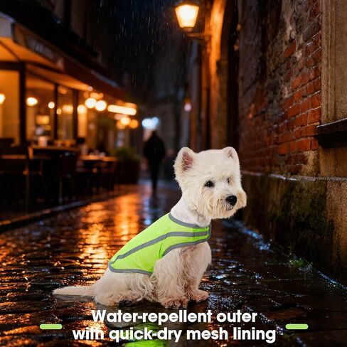 FUAMEY الكلب سترة عاكسة للكلاب الصغيرة، سترة صيد الكلاب عالية الوضوح سترة سلامة الكلاب للمشي ليلا خدمة مقاومة للماء الحيوانات الأليفة والعتاد قابل للتعديل الأنشطة في الهواء الطلق النيون الأخضر S in Kuwait