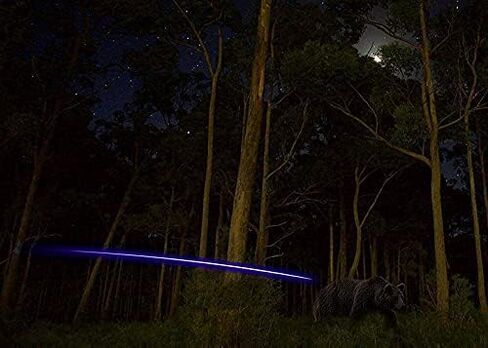 DEEPOWER LED .166 Lighted Nocks Universal Fit Arrow Nocks with Bushings of .204 .245 in Kuwait