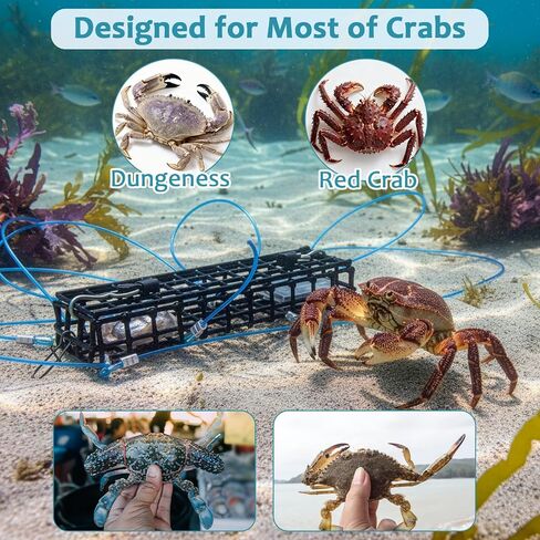 Therwen 10 حلقة سلطعون كمين فخ 6 بوصة طول اصطياد Dungeness Crab Snare Trap مع حلقات احتياطية لأعمدة الصيد Dungeness Blue Red Rock Crabs in Saudi Arabia