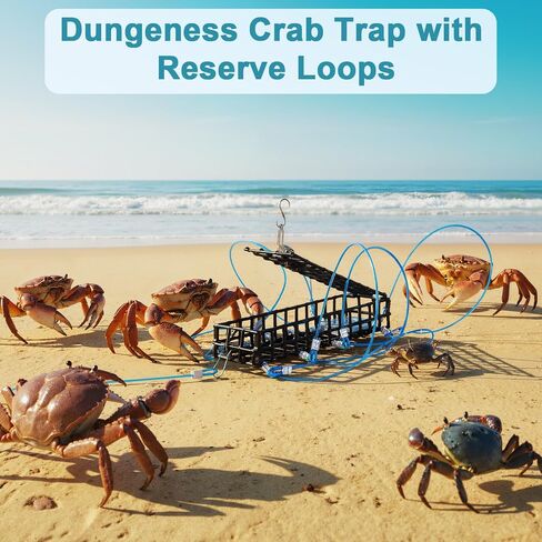 Therwen 10 حلقة سلطعون كمين فخ 6 بوصة طول اصطياد Dungeness Crab Snare Trap مع حلقات احتياطية لأعمدة الصيد Dungeness Blue Red Rock Crabs in Saudi Arabia