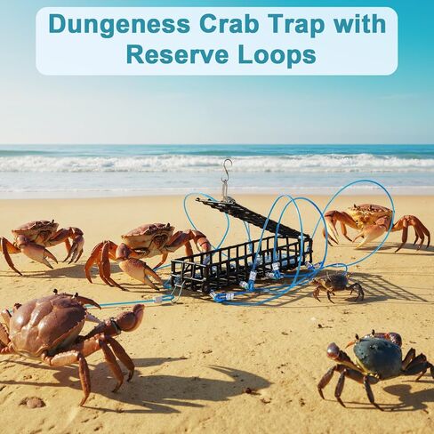 Therwen 10 حلقة سلطعون كمين فخ 6 بوصة طول اصطياد Dungeness Crab Snare Trap مع حلقات احتياطية لأعمدة الصيد Dungeness Blue Red Rock Crabs in Kuwait