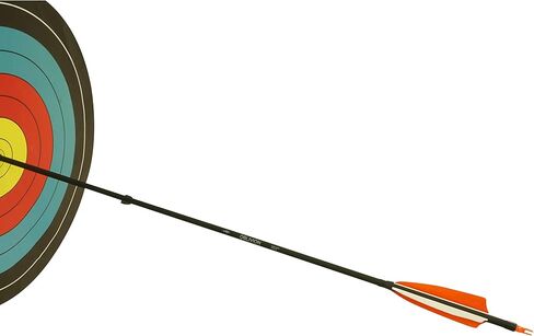 SAS Oblivion 30" Carbon Hunting Arrow 500 with 3" Vanes or 4" Feathers (12/Pack) Fletched Extra 6xNocks + Replaceable Points in Saudi Arabia