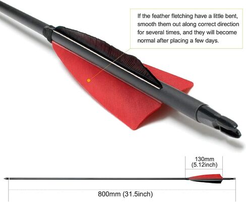 31Inch Carbon Arrows, Targeting Practice Hunting Arrow, Turkey Feather Fletching Arrow, with Removable Tips and nocks for Recurve & Compound Bow in Saudi Arabia
