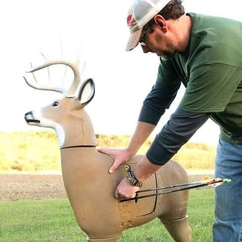 هدف الرماية GlenDel Full-Rut Buck ثلاثي الأبعاد مع قلب إدراج قابل للاستبدال in Kuwait