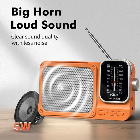 Portable AM/FM Radio with Bluetooth, Rechargeable Battery, Reading Lamp, Dual Power Supply, Pointer Tuner, Headphone Jack for Home and Emergency Use,Headphone Jack for Elderly and Kids (Black) in Saudi Arabia