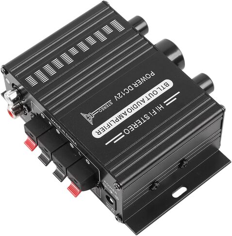 Car Mini Audio Power Amplifier, Circuit Protection Durable 12V Premium Music Quality Stereo Dual Channel Power Amplifier for Vehicle in Saudi Arabia