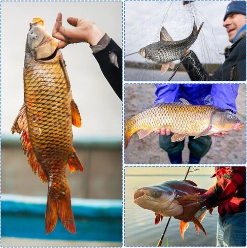 Fishing Lure for Bass, Top Water Fishing Lures with Floating Rotating, Unique Topwater Fishing Lure, Top Water Lures with Hook for Freshwater and Saltwate in Saudi Arabia