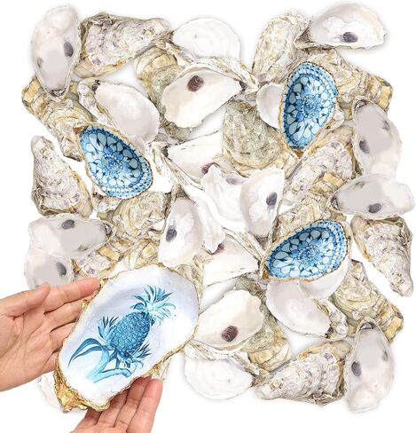 36PCS Natural Large Oyster Shells 5"-6" – Bulk Oyster Shells for Crafts, Home Decor, Vase Fillers, Beach Wedding Decorations, Ocean-Themed Art Projects in Saudi Arabia
