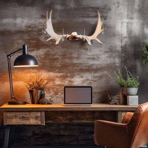 12 Pcs Invisible Shed Deer Antler Mounting Deer Antler Display Stand Holder Clear Acrylic Skull Mount Set for Bear Antelope Skulls Christmas Winter Gifts Decoration in Saudi Arabia
