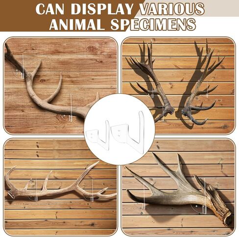 12 Pcs Invisible Shed Deer Antler Mounting Deer Antler Display Stand Holder Clear Acrylic Skull Mount Set for Bear Antelope Skulls Christmas Winter Gifts Decoration in Saudi Arabia