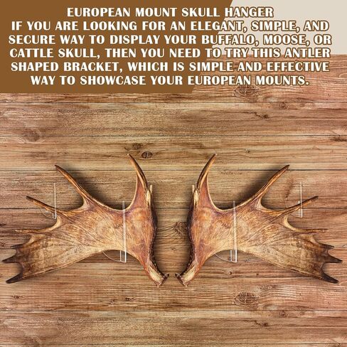 12 Pcs Invisible Shed Deer Antler Mounting Deer Antler Display Stand Holder Clear Acrylic Skull Mount Set for Bear Antelope Skulls Christmas Winter Gifts Decoration in Saudi Arabia