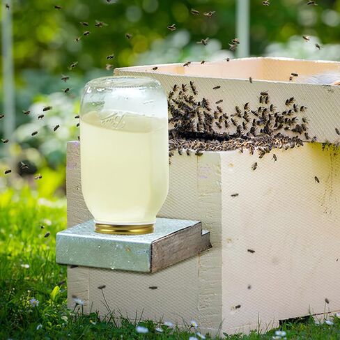 BESPORTBLE Bee Water Dispenser: 8pcs Fittings Bee's Beehive Entrance Feeder Tool Bee Feeding Equipment Bee Water Feeding Tool Bee Feeders Bee Water Feeder Top Metal in Saudi Arabia