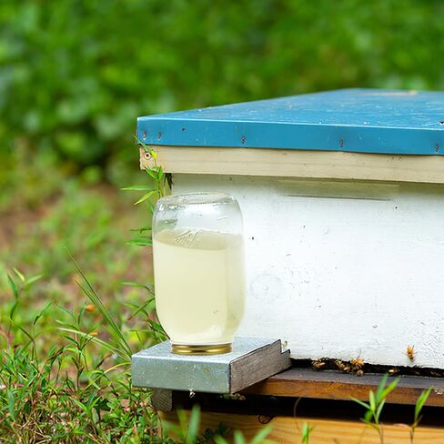 BESPORTBLE Bee Water Dispenser: 8pcs Fittings Bee's Beehive Entrance Feeder Tool Bee Feeding Equipment Bee Water Feeding Tool Bee Feeders Bee Water Feeder Top Metal in Saudi Arabia