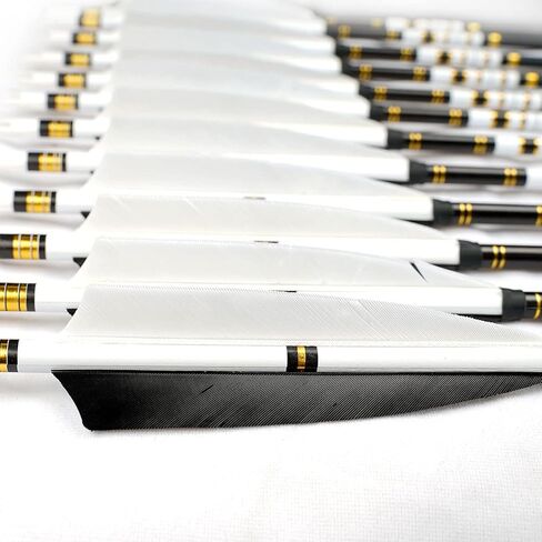 PMZ Archery 31" Mix Carbon Arrow 6pcs&12pcs for Hunting Recurve Bow in Saudi Arabia