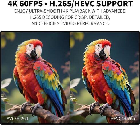 4K Media Player for USB Drive & MicroSD, Ultra HD Digital Signage Player with HDMI/AV Output, H.265 H.264 MKV MP4 Video, MP3 Music, JPG Photo, Auto Play & Resume, Loop Playback in Saudi Arabia